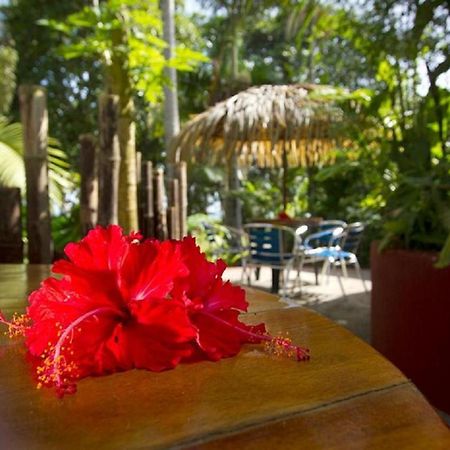 Villas Del Caribe Puerto Viejo de Talamanca Eksteriør billede
