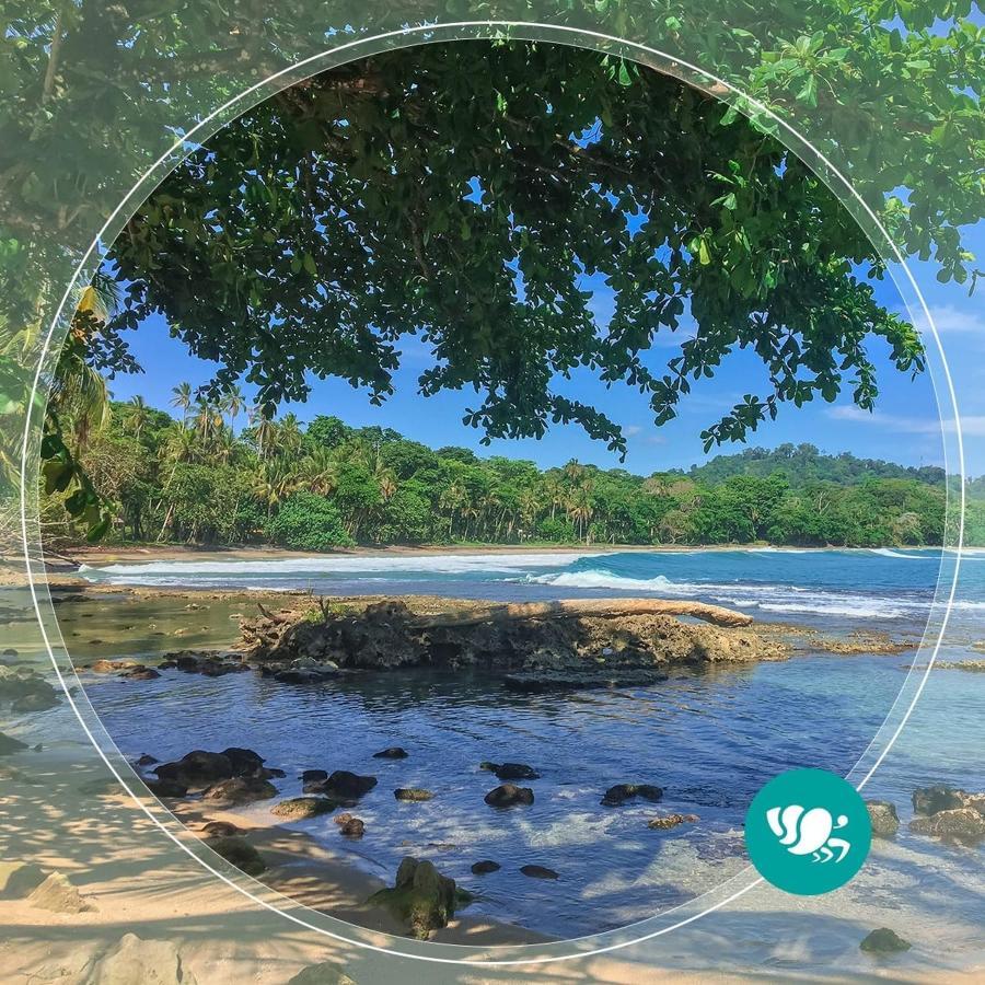 Villas Del Caribe Puerto Viejo de Talamanca Eksteriør billede