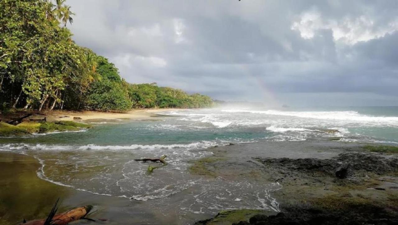 Villas Del Caribe Puerto Viejo de Talamanca Eksteriør billede