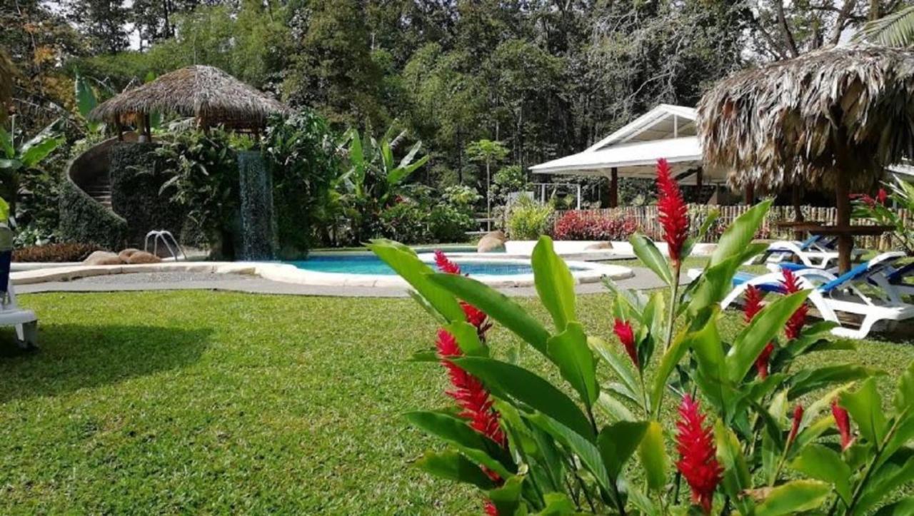 Villas Del Caribe Puerto Viejo de Talamanca Eksteriør billede