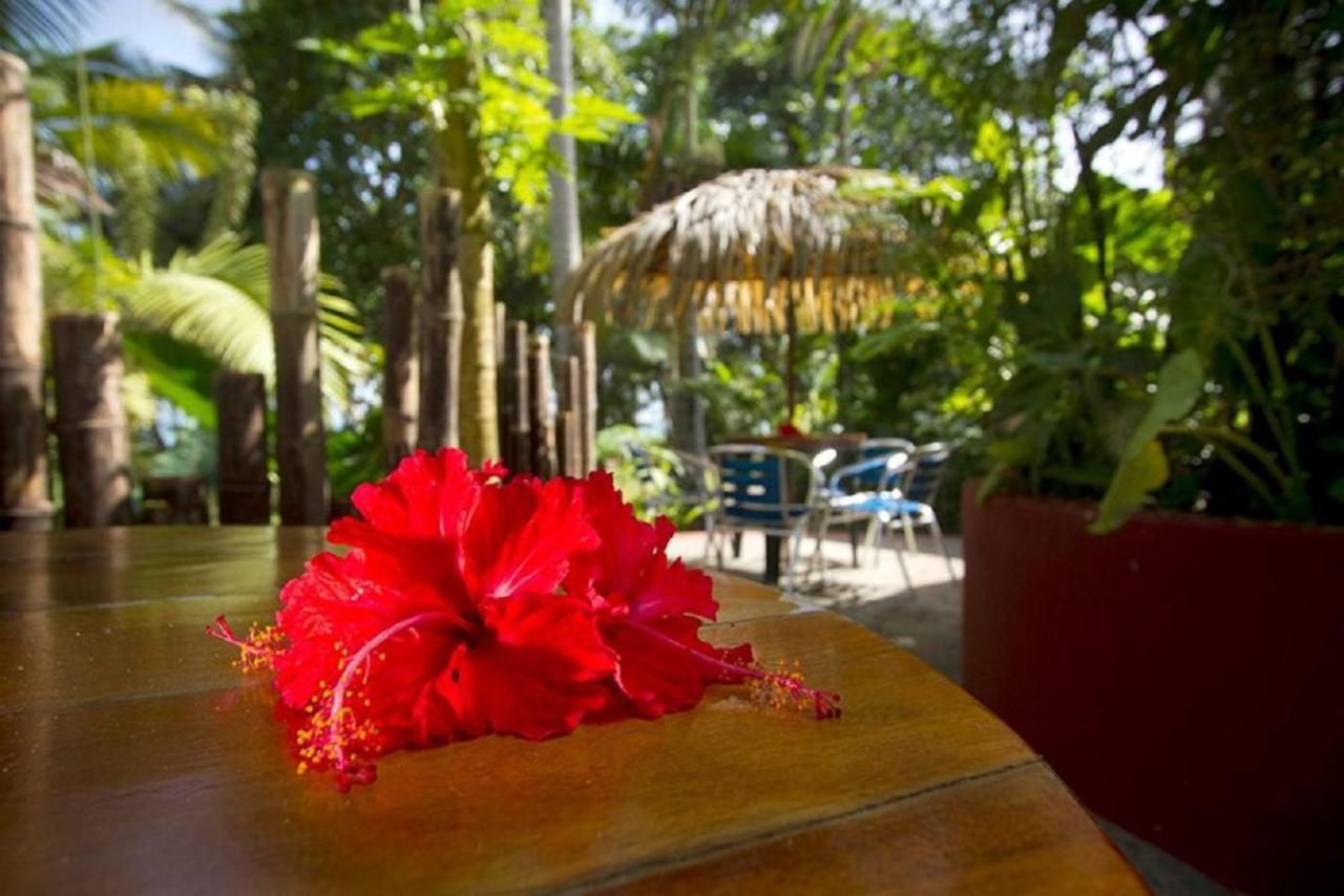 Villas Del Caribe Puerto Viejo de Talamanca Eksteriør billede