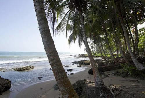 Villas Del Caribe Puerto Viejo de Talamanca Eksteriør billede